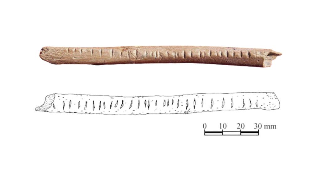 Ciclo menstrual y matemáticas: ¿Una conexión ancestral? - Andydx